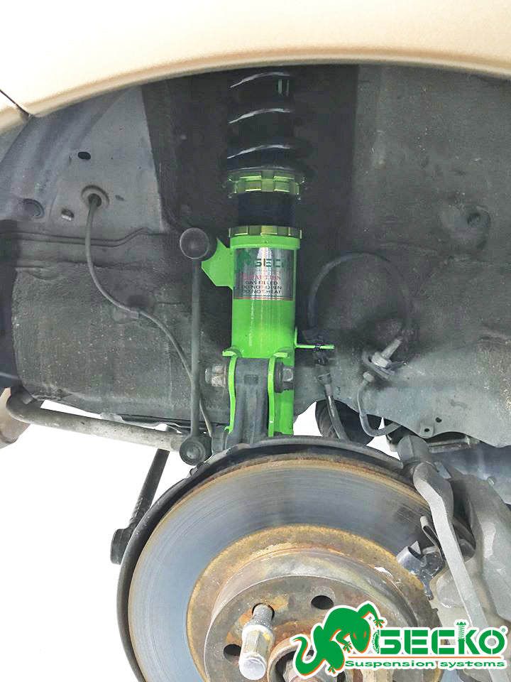 447855371_3794226264185390_315