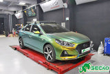 GECKO RACING G-RACING Coilover for 15~19 HYUNDAI Sonata LF